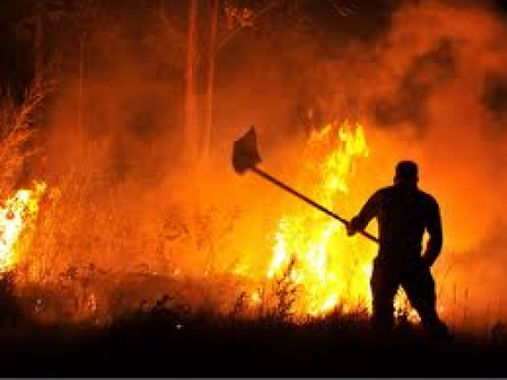 Un estudio sobre incendios forestais, premio de investigación “Valentín Paz Andrade” 2014