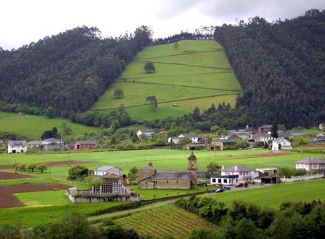 CES Galicia - Ditame sobre a mellora da estrutura territorial agraria